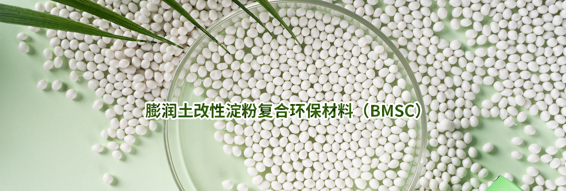 ���I(y��)���]�͘I(y��)